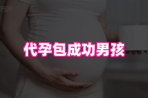 武汉助孕网 3